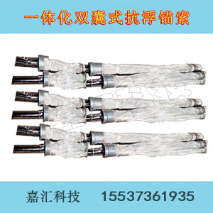 一体化双囊式抗浮锚杆